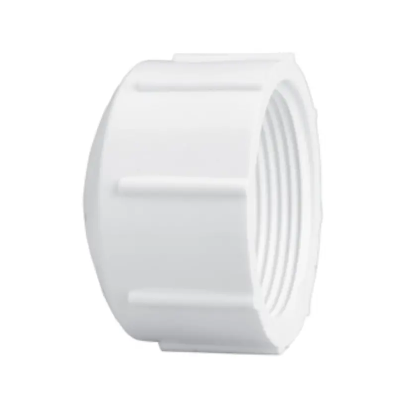 0.75-Inch Schedule 40 Pvc Female Iron Pipe Thread Cap 1