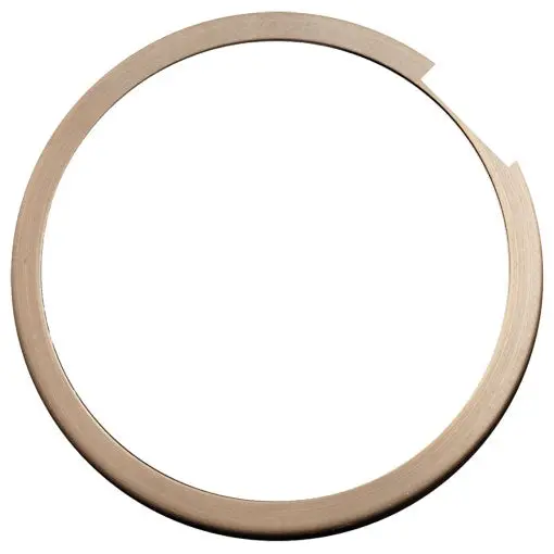 Advantage Adv-Ig-304B-Dg Decorative Brass-And-Glass Debris Cover For Par Lamps 2