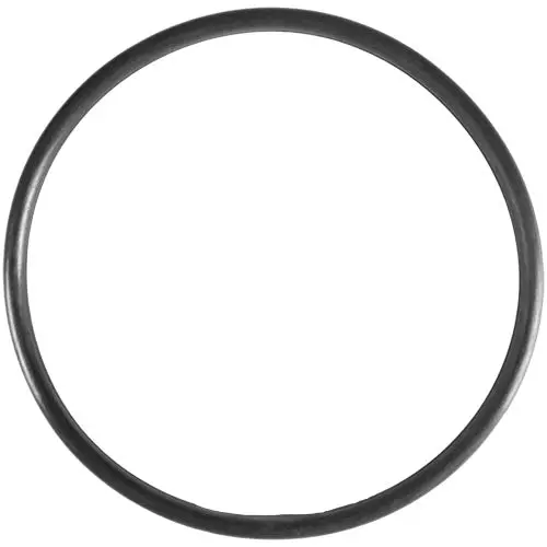 Aladdin High-Performance O-Ring O-318 1