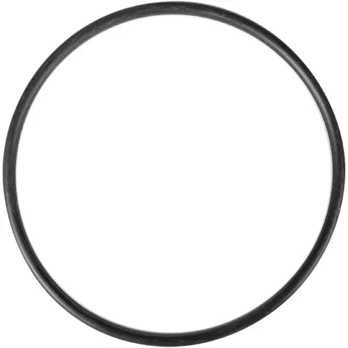 Aladdin O-151 Medium-Diameter O-Ring For Pool Valves 1