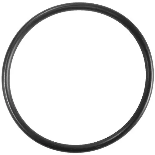 Aladdin O-Ring – Size O-442 (Viton) 1