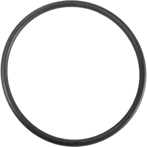 Aladdin Standard O-Ring - Size O-384 1