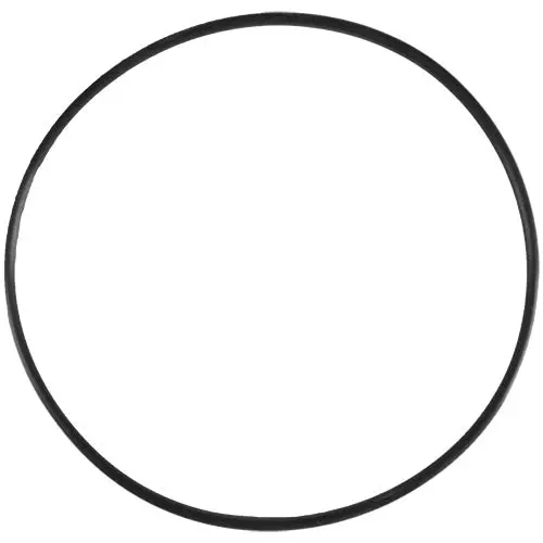 Aladdin Standard O-Ring - Size O-48 1