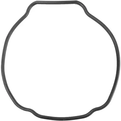 Aladdin Standard O-Ring - Size O-529 1