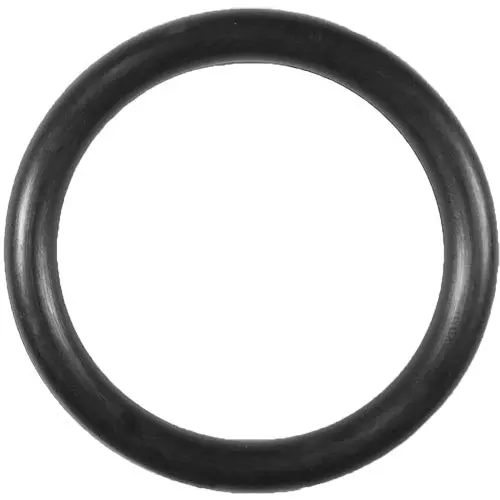 Aladdin Temperature-Stable O-Ring O-71 1