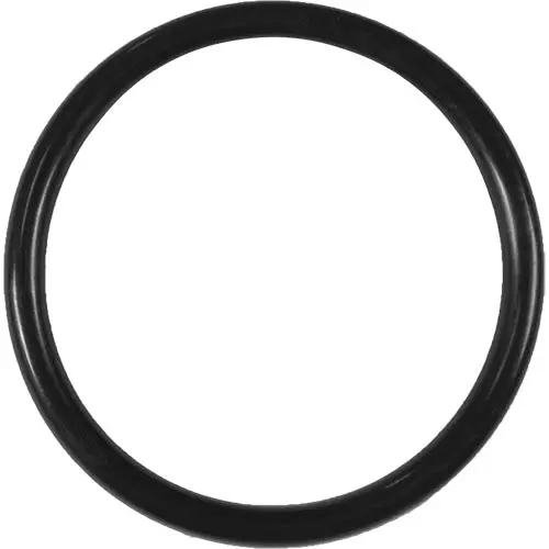 Aladdin Weatherproof O-Ring O-83 1