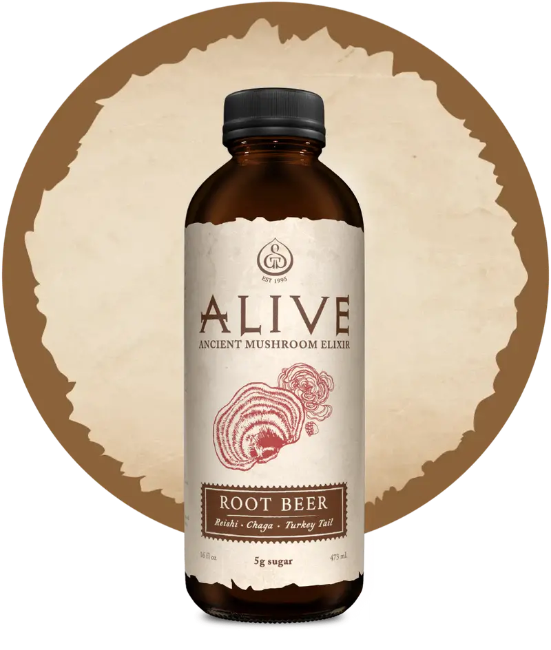 Gt'S Mushroom Elixir Root Beer – 16 Oz Adaptogenic Sparkling Drink (With Bottle Deposit) 1