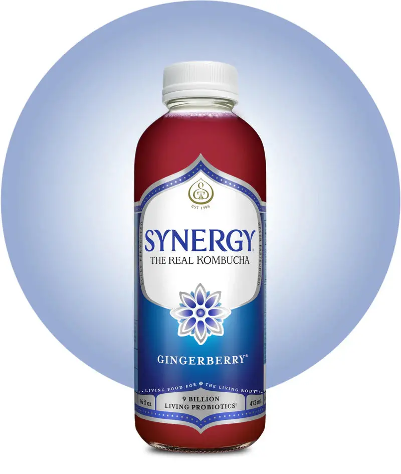Gt'S Synergy Raw Gingerberry Kombucha – Organic Fermented Tea With Deposit, 16 Oz 1