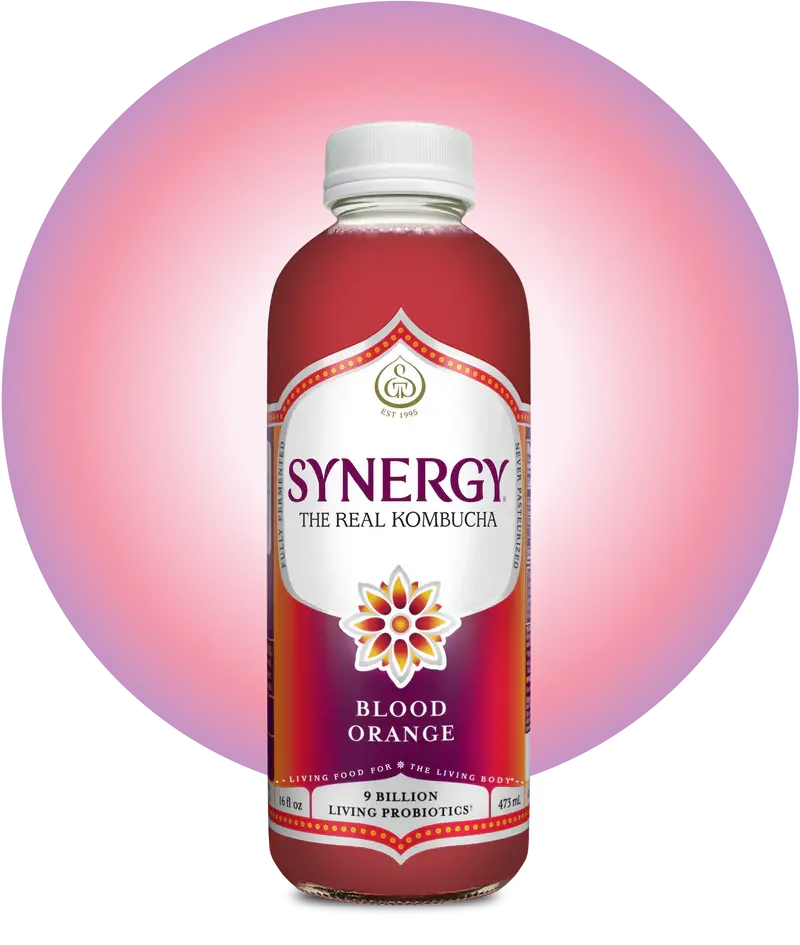 Gt'S Synergy Raw Organic Blood Orange Kombucha With Deposit, 16 Oz 1