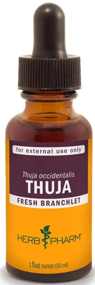 Herb Pharm Thuja Extract — Alcohol-Free Herbal Tincture, 1 Fl Oz 1
