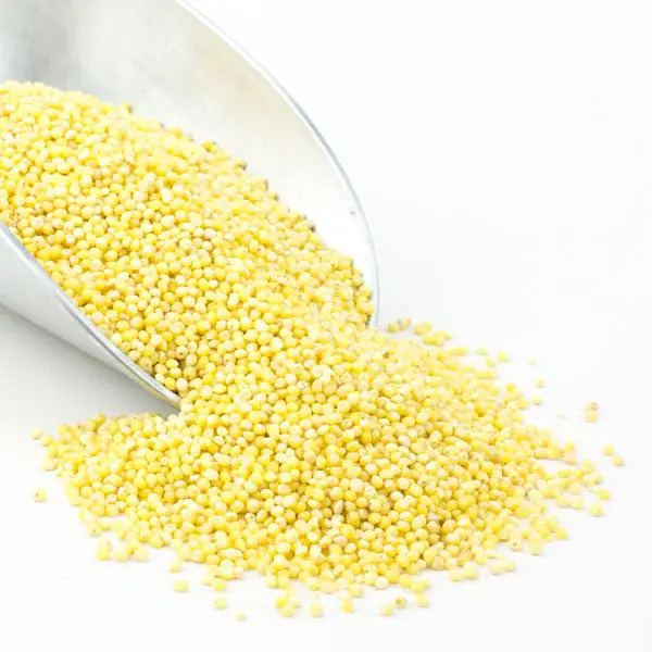 Hulled Organic Millet – Bulk 3 Lb Mild-Tasting Gluten-Free Seed Grain 1