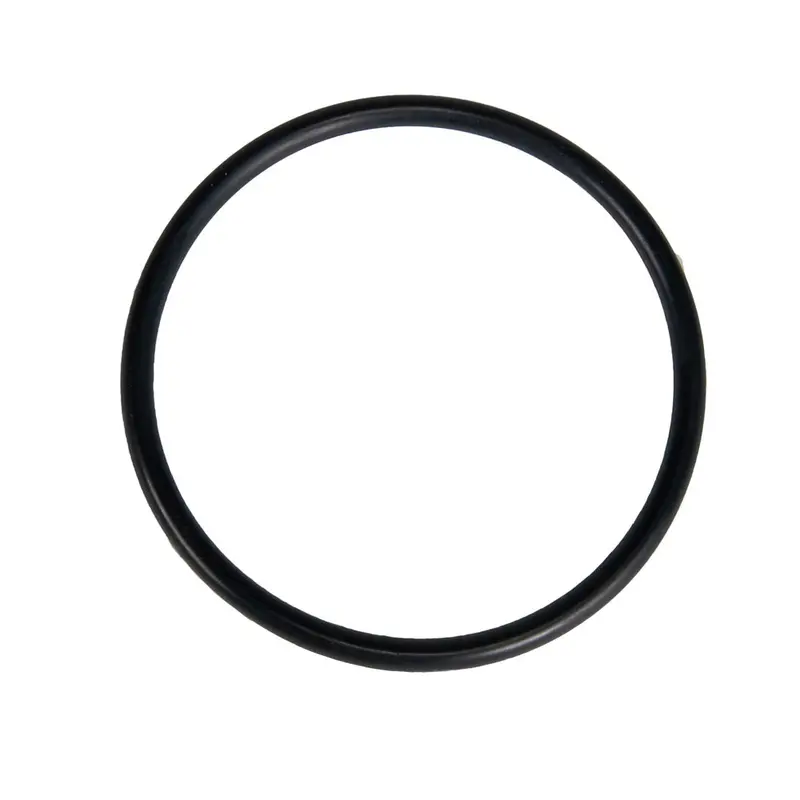Jandy Replacement O-Ring For Valve Assemblies (R0622000) 1