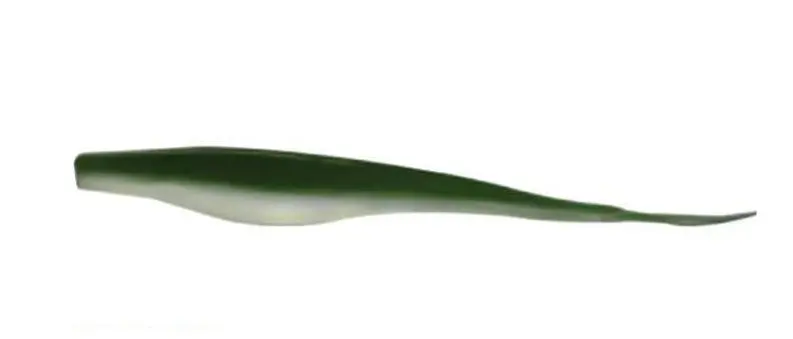 Mcarthy Jerk Minnow Swimbaits For Saltwater Gamefish 1