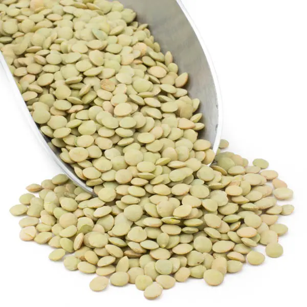 Organic Green Lentils, Dried In Bulk – 3-Pound Bag 1