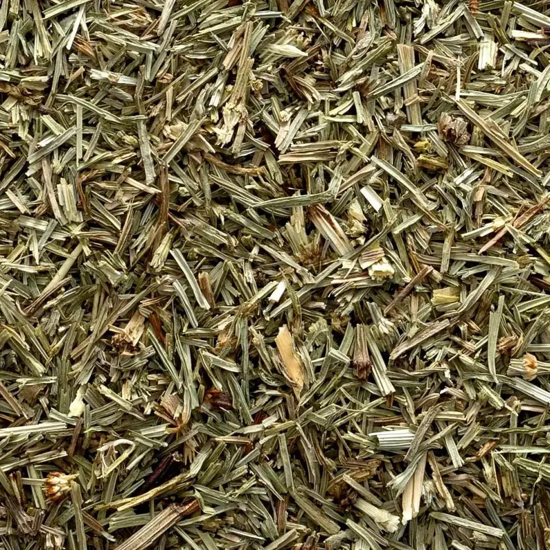 Organic Horsetail Herb – Cut & Sifted, 2 Oz Bulk Supply 1