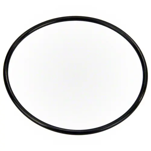 Pentair Pump Diffuser O-Ring Seal – Standard Fit (355227Z) 1