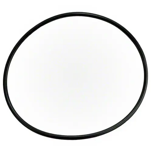 Waterway Filter Lid O-Ring (Part 805-0360) 1