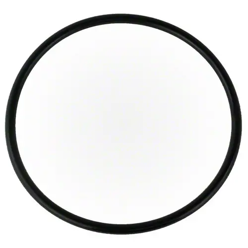 Waterway Trap Lid O-Ring (Part 805-0436) 1