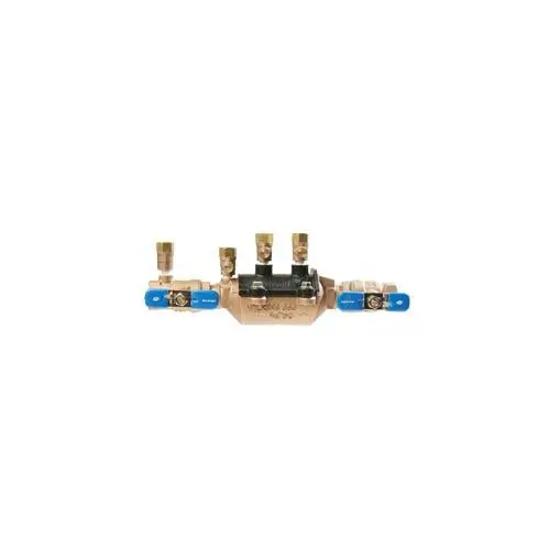 Wilkins 1-Inch 350 Series Double Check Backflow Prevention Assembly 1