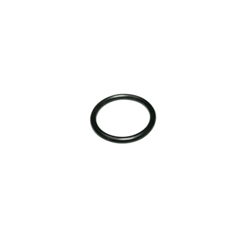 Wilkins 218N Replacement O-Ring For 1-Inch 375 Backflow Preventer Outlet 1